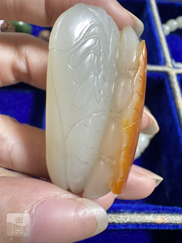 清 洒金皮玉蝉 - 图5